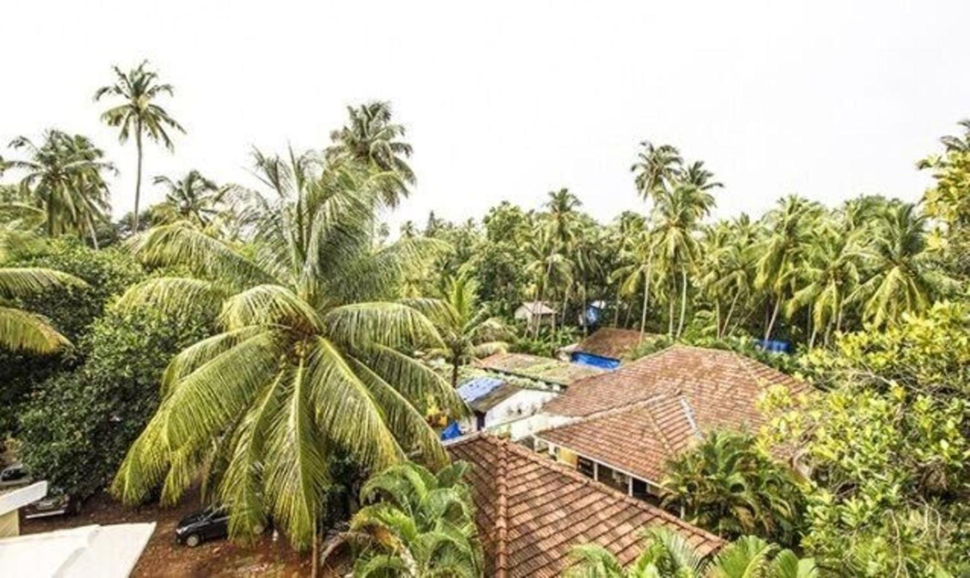 Fabexpress Orchid The Sky Hotel Calangute Bagian luar foto